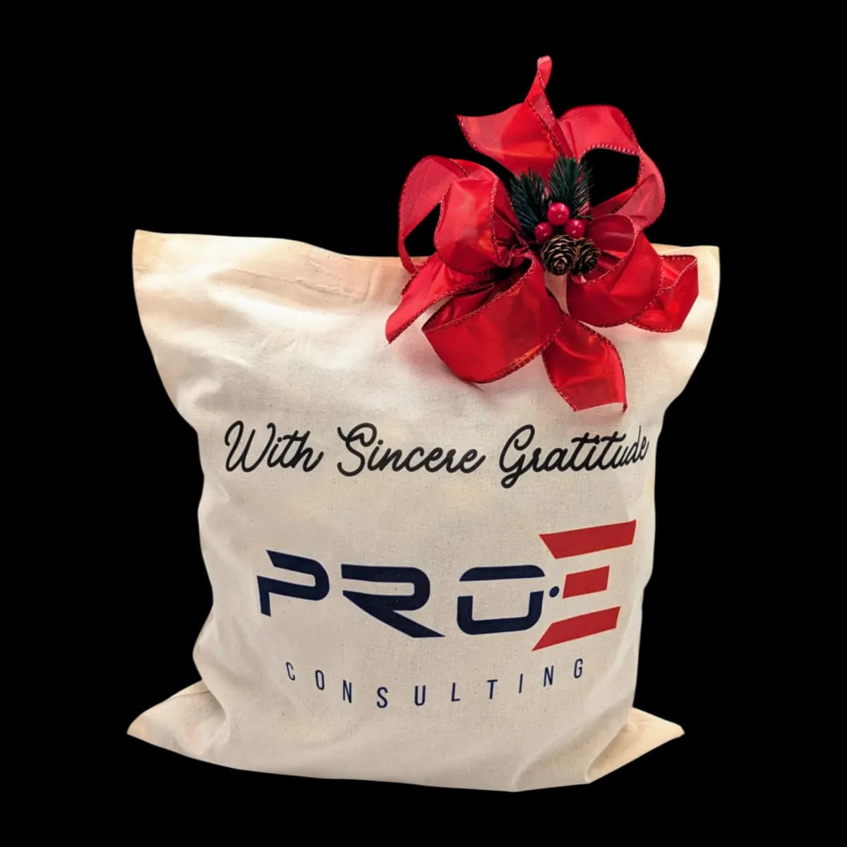 PRO E Consulting branded holiday canvas gift bag presentation
